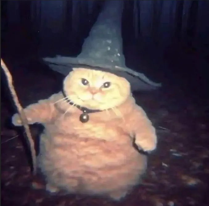 wizard